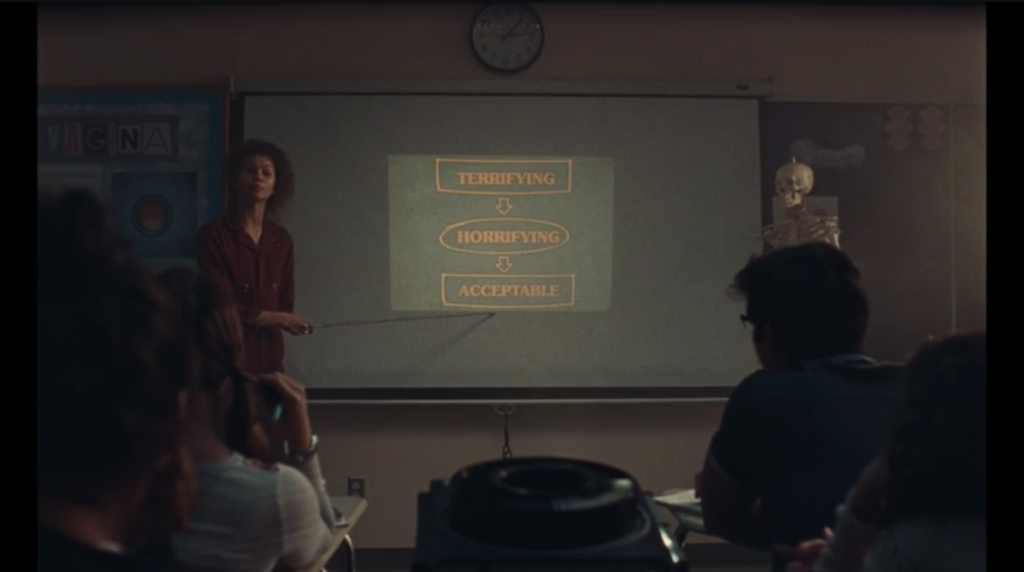 hbo euphoria zendaya dick pic