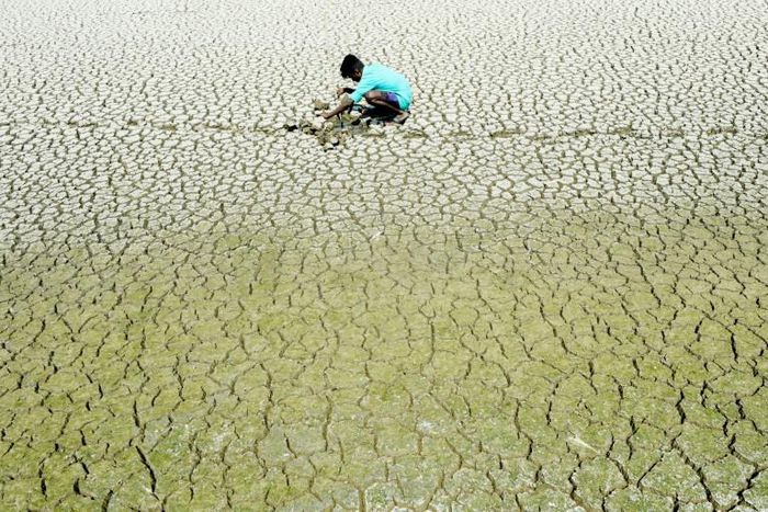 Large areas of India have been hit by drought, leaving millions dependent on water trucks and adding to the misery of farmers in states such as Tamil Nadu, Maharashtra and Karnataka