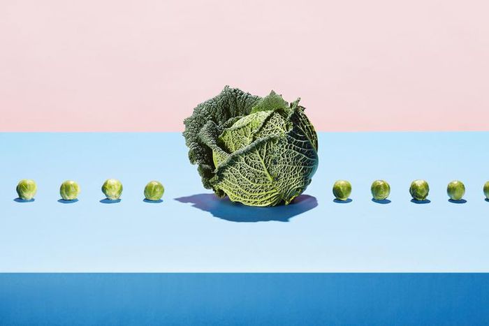 What Is The Plant Paradox Diet?