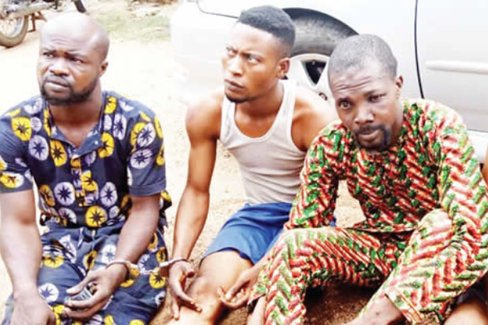 The suspects of four-man robbery gang terrorising Ikire and commuters on Ibadan-Ile-Ife Expresway (Punch)