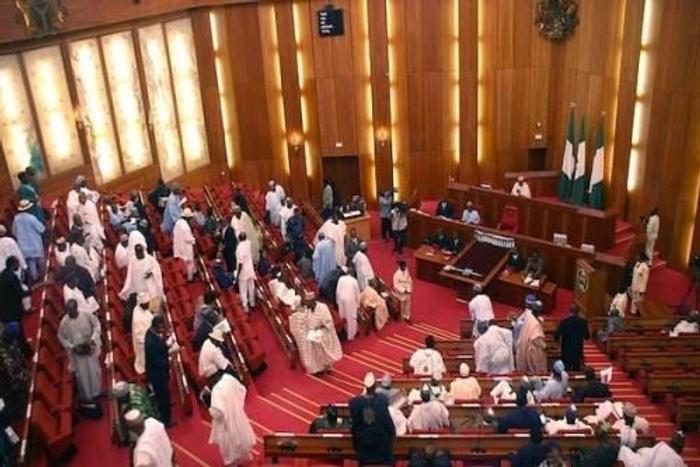 Senate floor during the screening of President Buhari's next level's ministerial nominees (SaharaReporters)