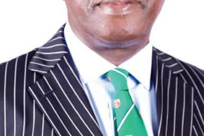 Seyi Sowemimo SAN (Punch)