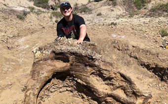 Triceratops Skull, 65 Million Years Old, Unearthed by College Student, 23