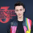 What is Will's Sexuality in 'Stranger Things'?
