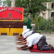Among the more unusual forms that have sprung up are "doga", which is yoga with a dog