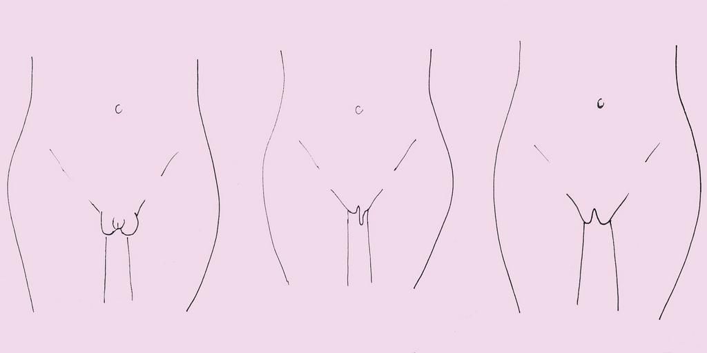 Your labias are the outer and inner lips of your vagina and can vary from person to person [Credit: Cosmopolitan]
