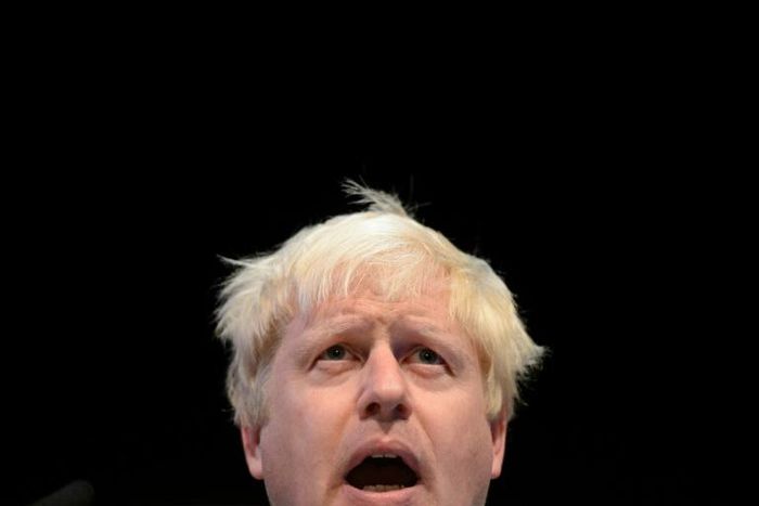 To backers, the Boris haircut mirrors his unconventional thinking and personality, which they see as an antidote to a monolithic political order
