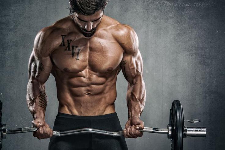 The 20 Best Moves for Your Biceps