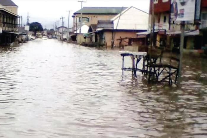 The flooded community in Delta state (Punch)