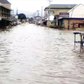 The flooded community in Delta state (Punch)