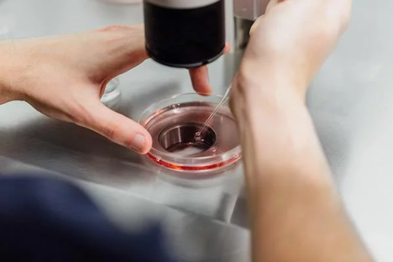 The woman opted for IVF treatments but failed. | Source: Pxhere