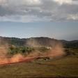 Money trees: The forestry sector is a historic pillar of Gabon's economy, accounting for 17,000 jobs and 60 percent of non-oil output