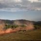 Money trees: The forestry sector is a historic pillar of Gabon's economy, accounting for 17,000 jobs and 60 percent of non-oil output