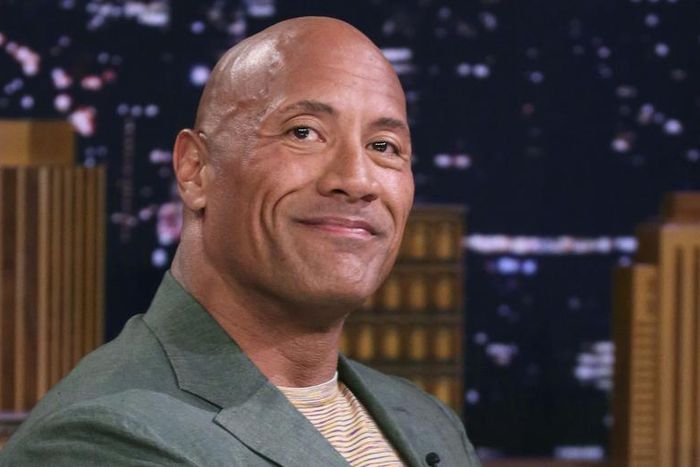 The Rock Has 'Quietly Retired' From Wrestling