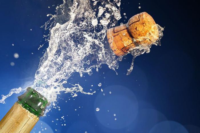 Dr. Pimple Popper Pops Tiny Lipoma In New Video