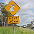 Queensland police said the car was spotted early on Sunday morning in the outback town of Banana