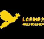 Nigeria’s Biodun Shobanjo Makes History as First West African Inducted into Loeries Hall of Fame