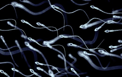 6 simple tips to make your semen smell and taste better
