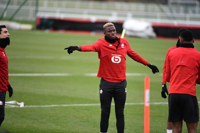 Victor Osimhen (Twitter/Lille)