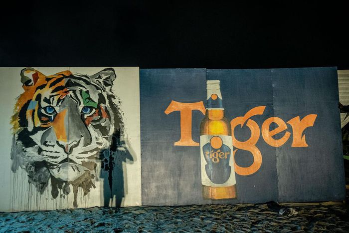 Spotted: Noble Igwe, Teddy A, SDC, Rema, BOJ, Ajebutter22, Waye, others come together for Tiger’s Uncage Party