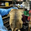 In a handout photo, an employee of Bogota's environment secretariat shows a skin seized during an operation targeting animal parts dealers on September 10, 2019
