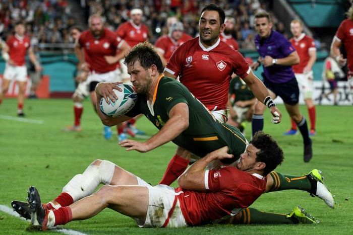 Centre Frans Steyn is South Africa's sole survivor from the 2007 World Cup final