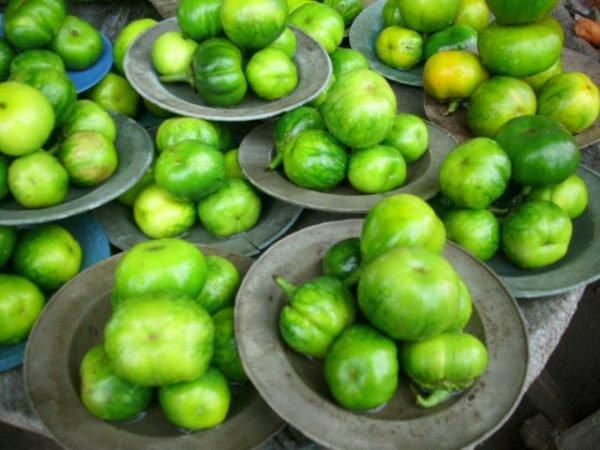 ___8483460___2018___6___11___16___Garden-Eggs
