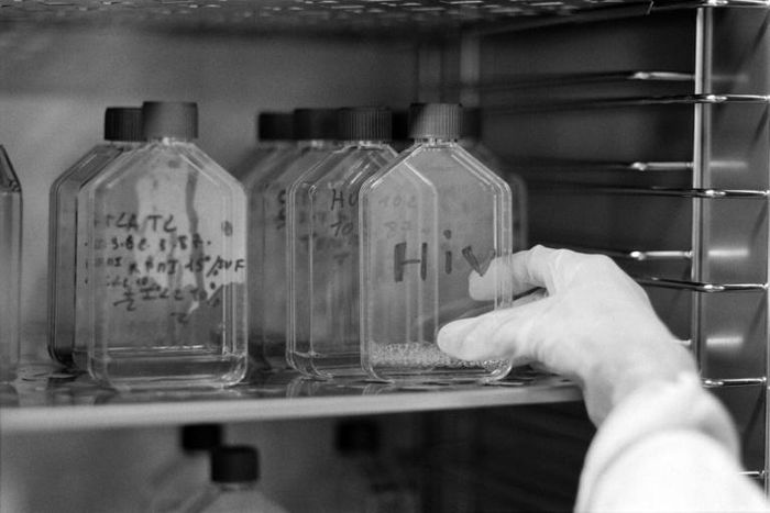 The new strain, HIV-1 Group M subtype L, has been recorded in three people, the clinical threshold for classifying subtypes