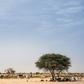 Eastern Chad is in the grip of a cycle of violence between nomadic camel herders -- many from the Zaghawa ethnic group from which President Deby hails -- and sedentary farmers from the Ouaddian community