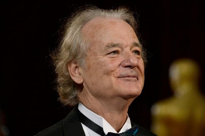 US actor Bill Murray will receive a lifetime achievement award at the Rome Film Festival