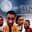 The weather forecast says it's a shady season!!! - Watch the trailer of accelebrate TV's Shade Corner