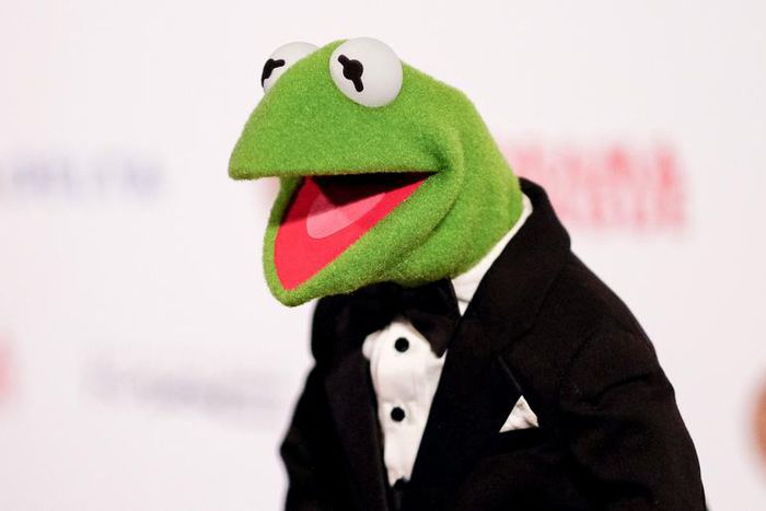 Kermit the Frog Has Been Working Out a Lot Lately