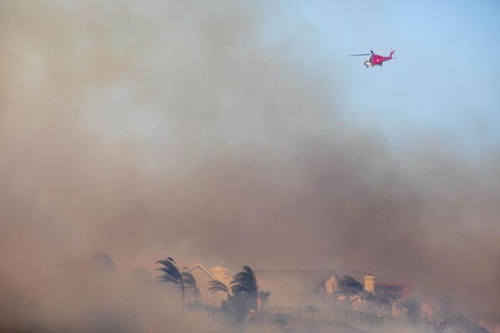 Do Winter's Clues Blow in the Autumn Wind?