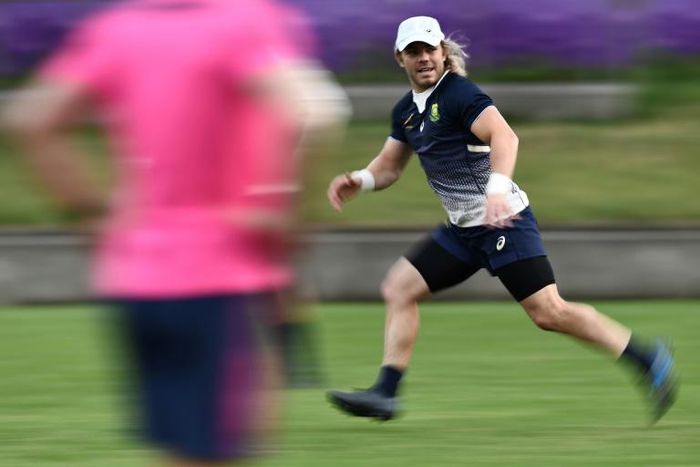 Scrum-half Faf de Klerk is a livewire presence for South Africa