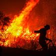 Indonesia's forest fires are an annual problem but have been worsened this year by particularly dry weather, and in recent days sent toxic smog floating over Malaysia and triggered a diplomatic row