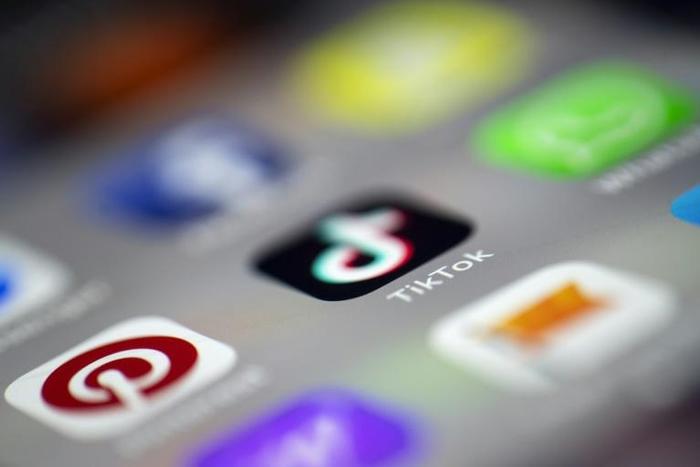 TikTok said it had removed videos and deleted accounts on the platform associated with the Islamic State group