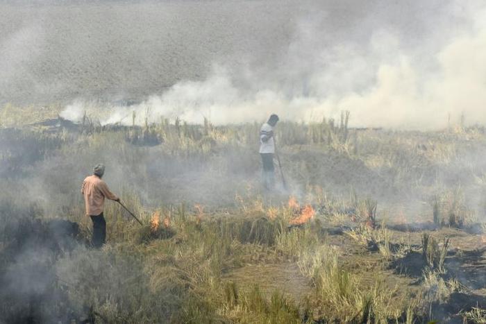 Each winter the post-harvest burning of crop stubble covers swaths of the region in toxic smog