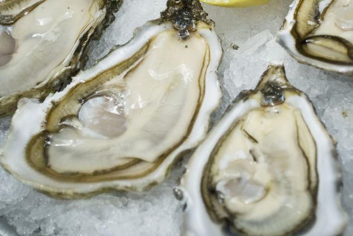 Dr. Pimple Popper Extracts Angry Epidermoid Cyst