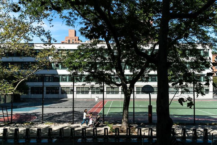 The Plan to Scrap New York's Gifted Programs: 5 Takeaways