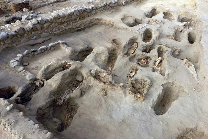 An August 27, 2019 picture from Programa Arquelogico Huanchacho shows the remains of some 227 children, who were allegedly offered in a sacrifice ritual by the pre-Columbian Chimu culture