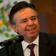 Eduardo Medina Mora, pictured in 2013, held positions including ambassador to the United States and Britain before being appointed to the Mexican Supreme Court