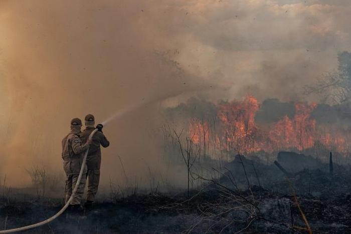 Firefighters in the Brazilian Amazon basin state of Mato Grosso battle a forest blaze in the municipality of Sorriso