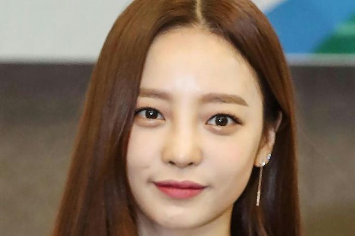 The exact cause of Goo Hara's death was still under investigation, police said