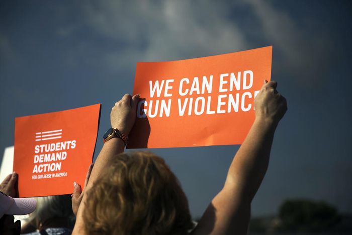 Parkland Survivors Unveil Plan on Guns