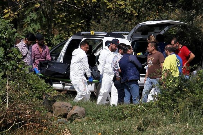 A team of forensic experts work in the site where seven bodies were found inside three abandoned vehicles