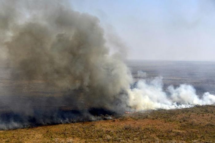 Fires have destroyed 1.2 million hectares of forest and grasslands in Bolivia this year, the government said on Wednesday, although environmentalists claim the true figure is much greater