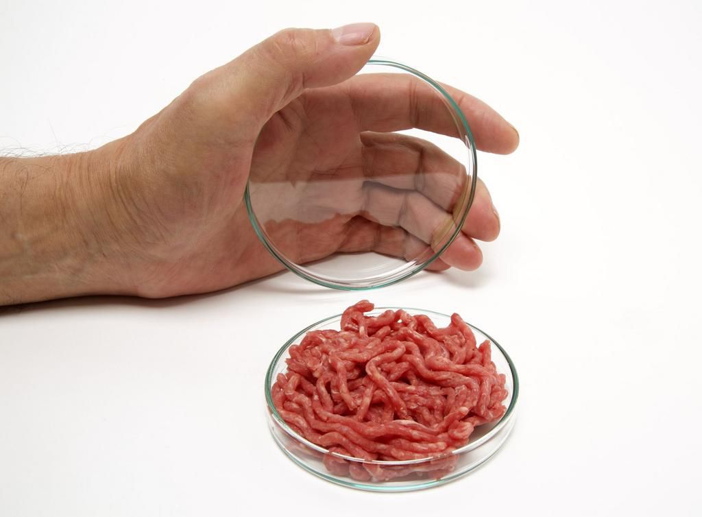 Minced meat in petri dish