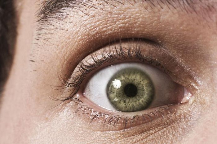 Dr. Pimple Popper Removes An “Eyeball” Cyst