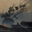Deforestation in the Amazon has been blamed for the sharp increase in fires as land is cleared and burned for cattle grazing or crops