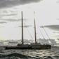 Greenpeace's Rainbow Warrior was blocking a cargo of coal from being unloaded at the port of Gdansk